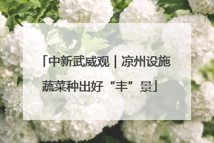 中新武威观｜凉州设施蔬菜种出好“丰”景